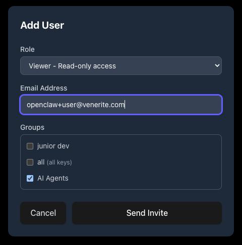 The invite user flow showing the new user being added to the "AI Agents" group with a non-admin role.